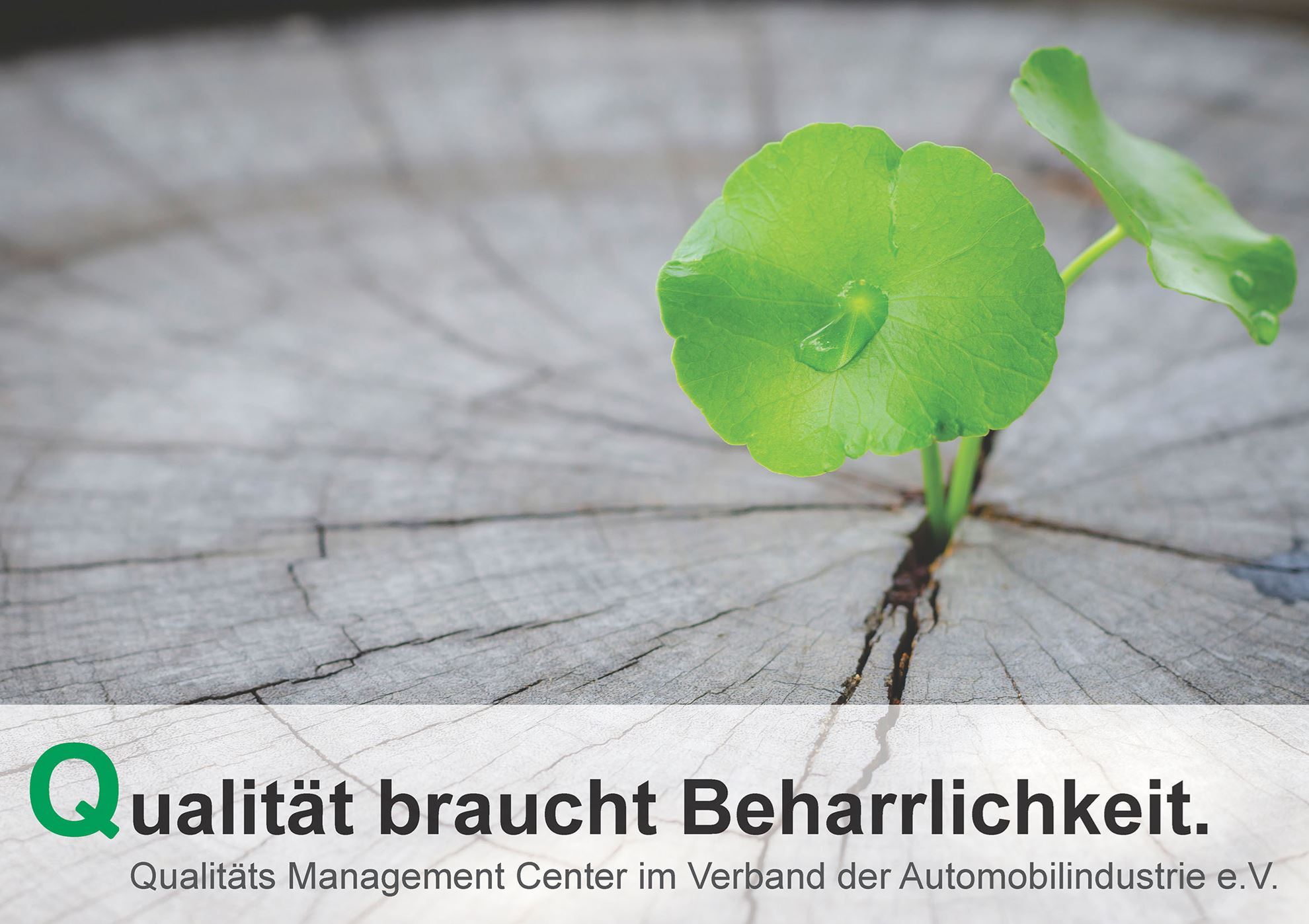 Bild von Poster: Beharrlichkeit